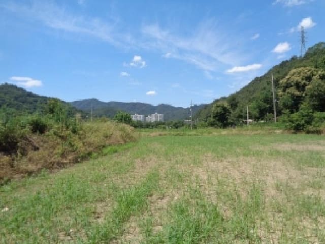 B000520202501300008481.jpg