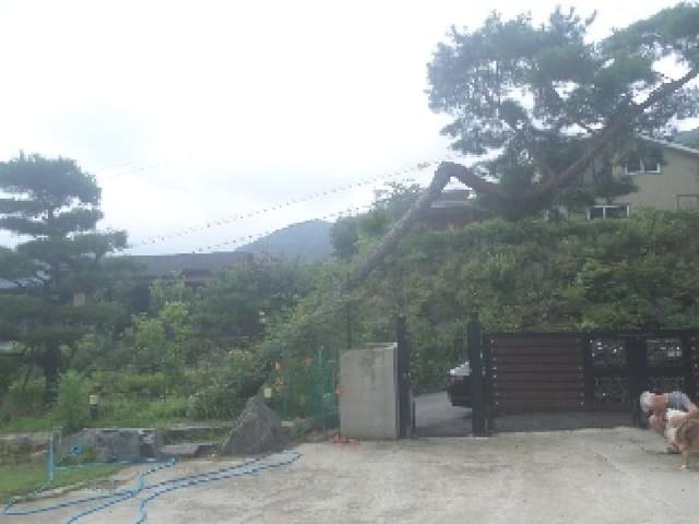 B000520202501300008543.jpg