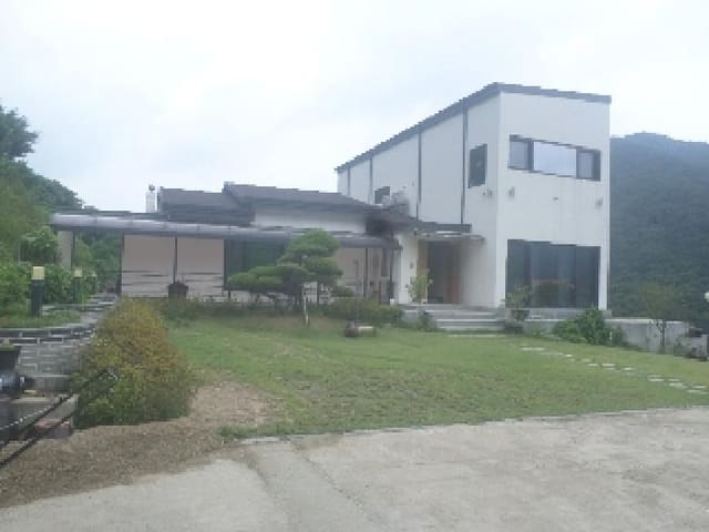B000520202501300008541.jpg