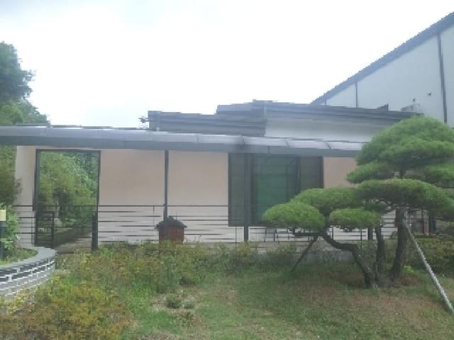 B000520202501300008542.jpg