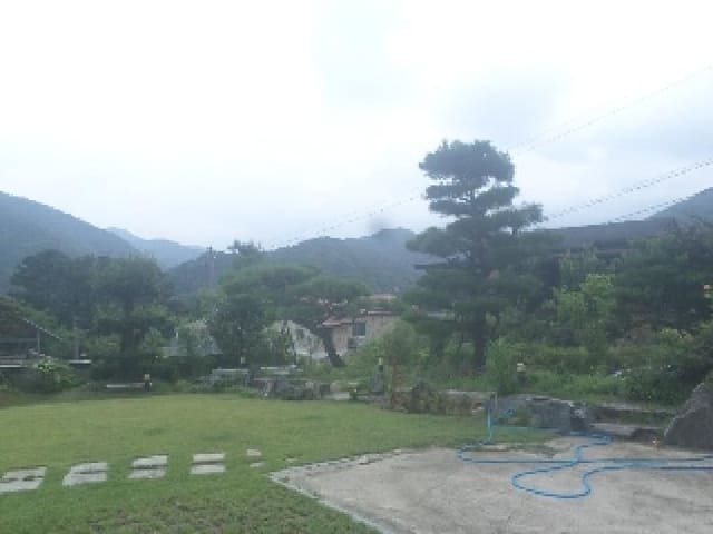 B000520202501300008544.jpg