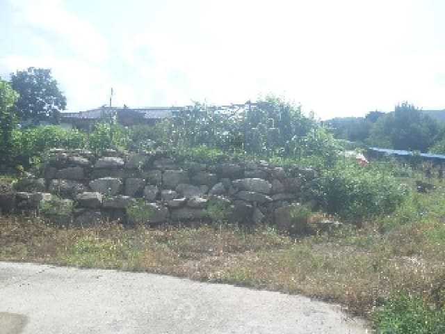 B000520202501300008564.jpg