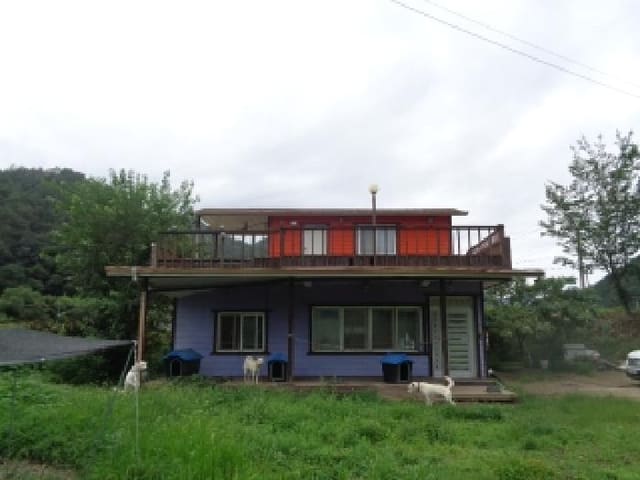 B000520202501300008694.jpg