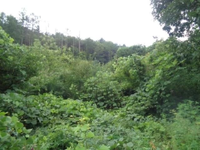 B000520202501300008823.jpg