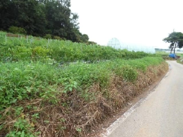 B000520202501300008982.jpg
