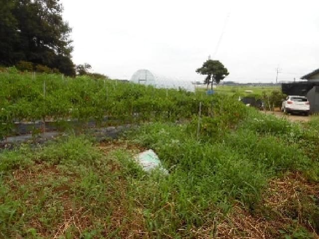 B000520202501300008984.jpg