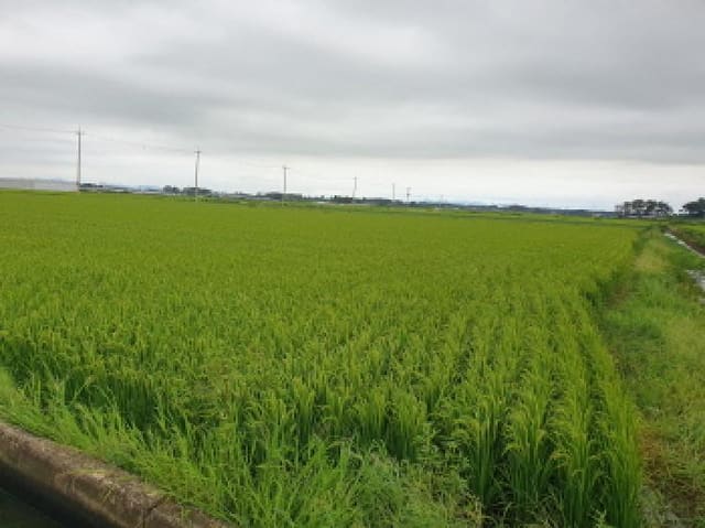 B000520202501300009024.jpg