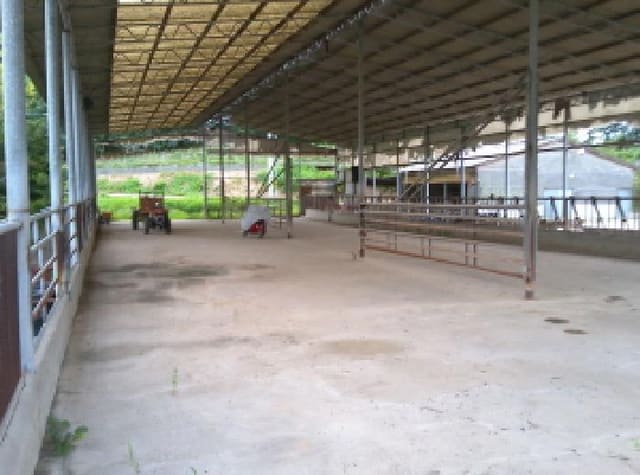 B000520202501300009183.jpg