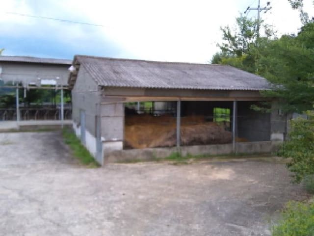 B000520202501300009182.jpg