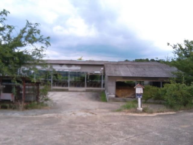 B000520202501300009181.jpg