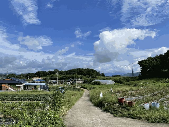 B000520202501300009224.jpg
