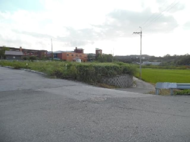 B000520202501300009322.jpg