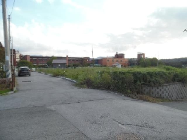B000520202501300009323.jpg