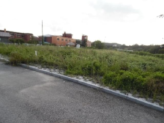 B000520202501300009321.jpg