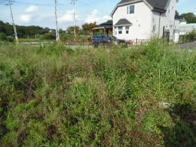 B000520202501300009324.jpg