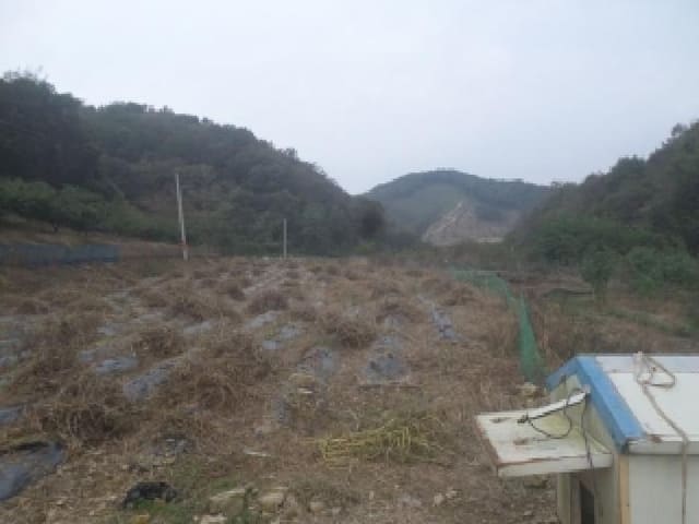 B000520202501300009821.jpg