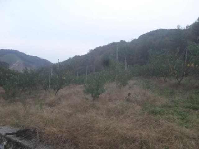 B000520202501300009828.jpg