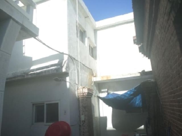 B000520202501300009872.jpg