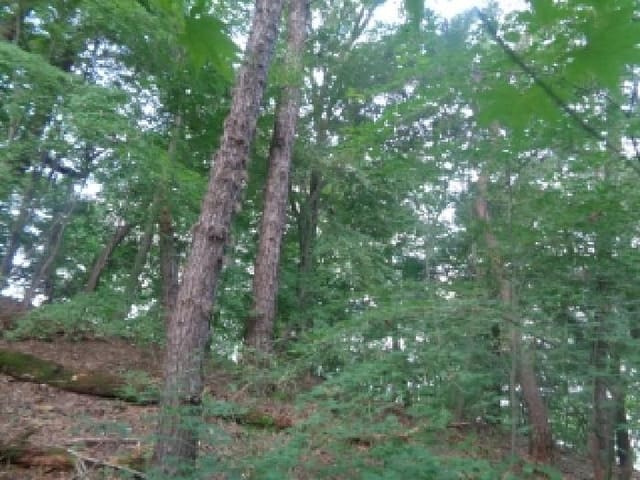 B000520202501300009884.jpg