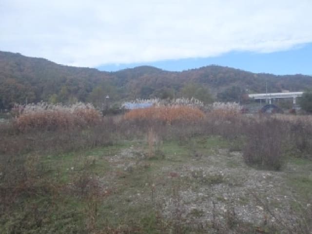 B000520202501300010143.jpg