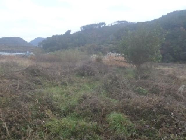 B000520202501300010144.jpg
