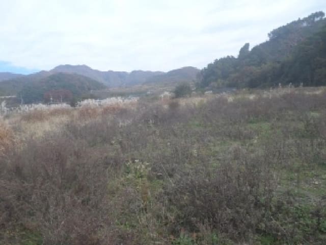 B000520202501300010142.jpg