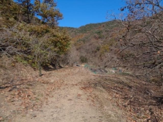 B000520202501300010364.jpg
