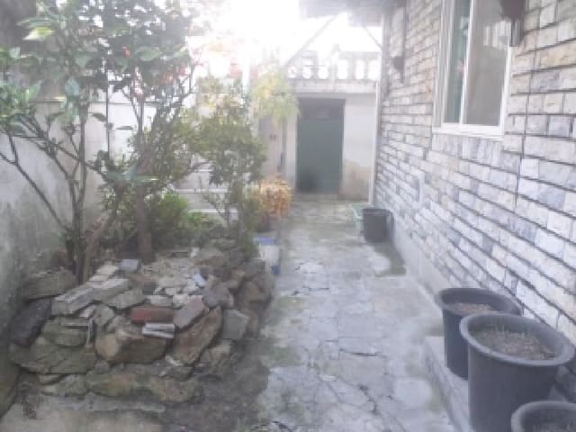 B000520202501300010392.jpg