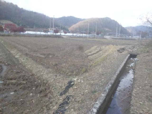 B000520202501300010411.jpg