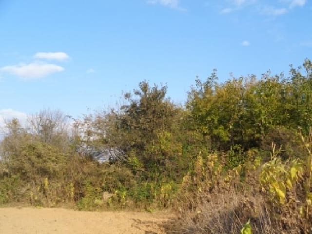 B000520202501300010441.jpg