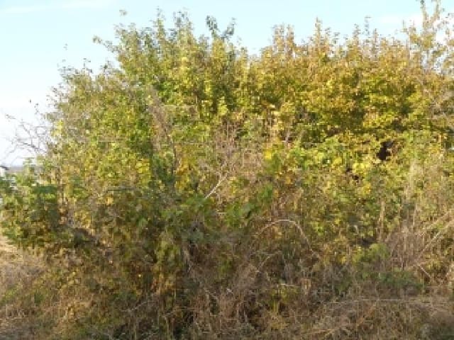 B000520202501300010444.jpg