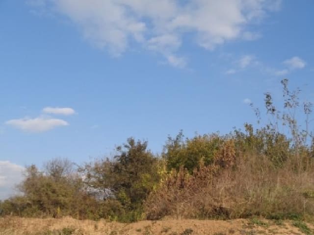B000520202501300010442.jpg