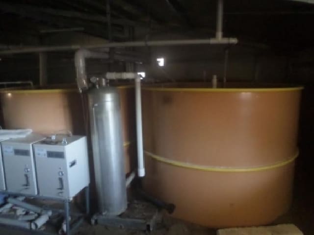 B000520202501300011074.jpg