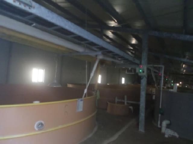 B000520202501300011072.jpg