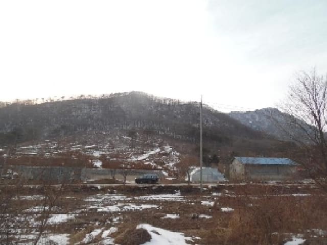 B000520202501300308283.jpg