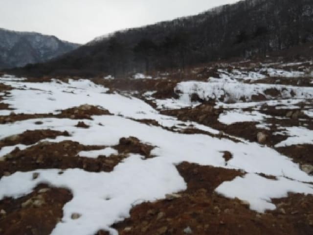 B000520202501300308282.jpg