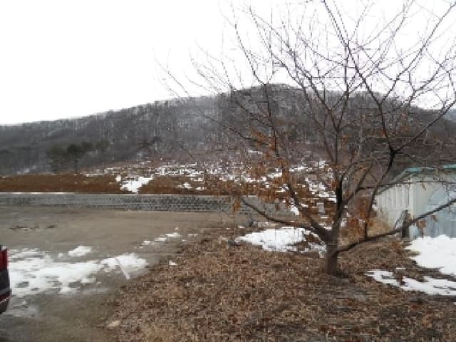 B000520202501300308281.jpg
