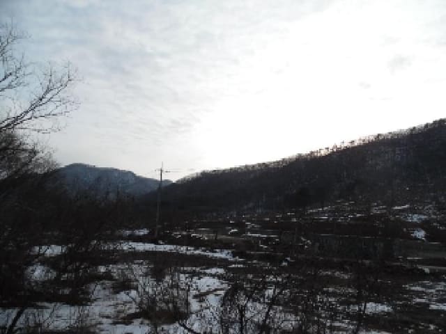 B000520202501300308284.jpg
