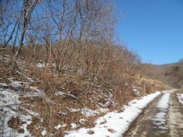 B000520202501300308863.jpg