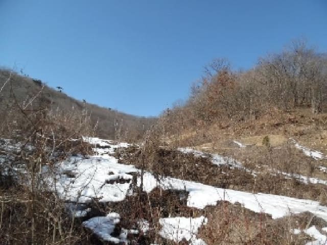 B000520202501300308862.jpg