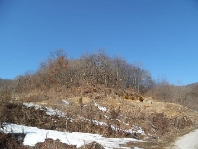 B000520202501300308861.jpg