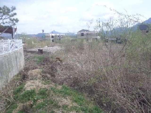 B000520202501300309942.jpg