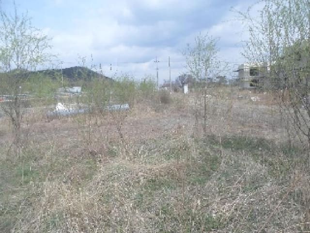 B000520202501300309943.jpg