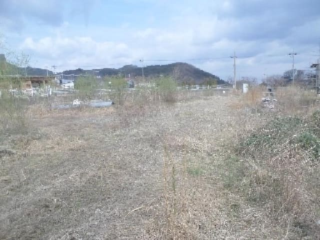 B000520202501300309944.jpg