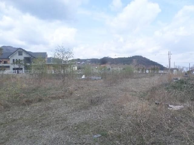 B000520202501300309941.jpg