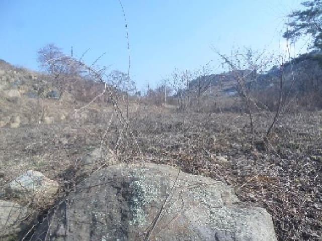 B000520202501300310034.jpg