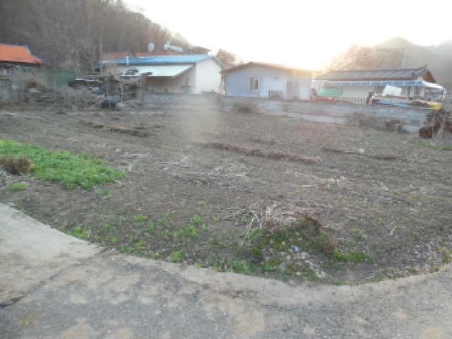 B000520202501300310212.jpg
