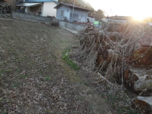 B000520202501300310211.jpg