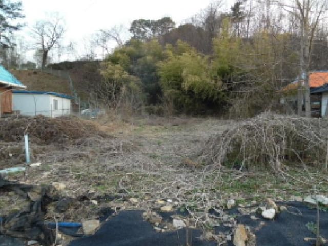 B000520202501300310214.jpg