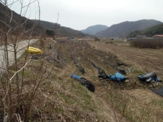 B000520202501300310651.jpg